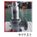 Boiler NPT / RF Pressure Safety Relief Valve (250mm WCB/CF8/304)